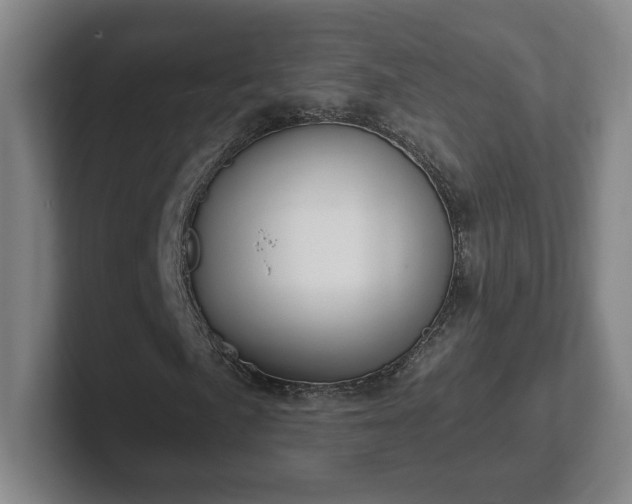 X0000102531057200808151550