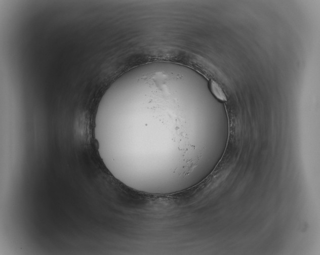 X0000102531058200808151550