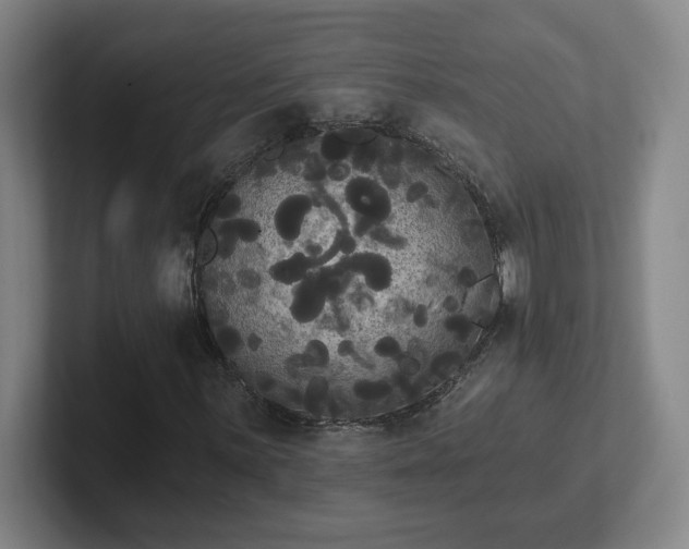 X0000102531059200808151550