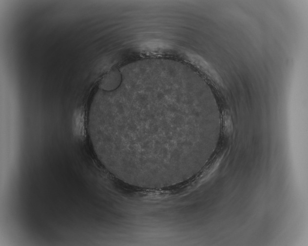 X0000102531060200808151550