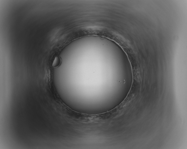 X0000102531061200808151550