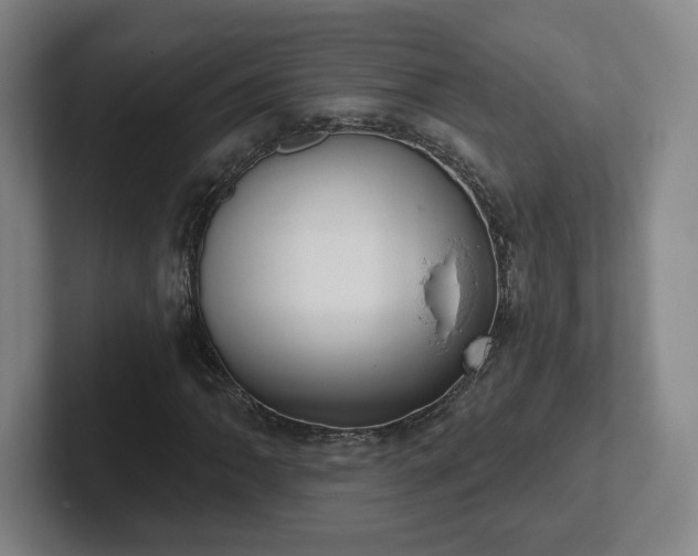 X0000102531062200808151550