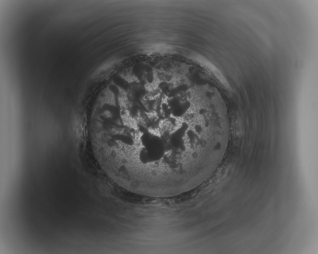 X0000102531063200808151550