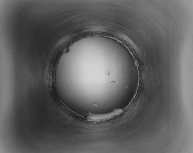 X0000102531064200808151550