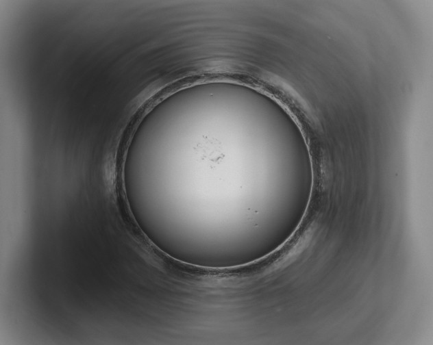 X0000102531065200808151550