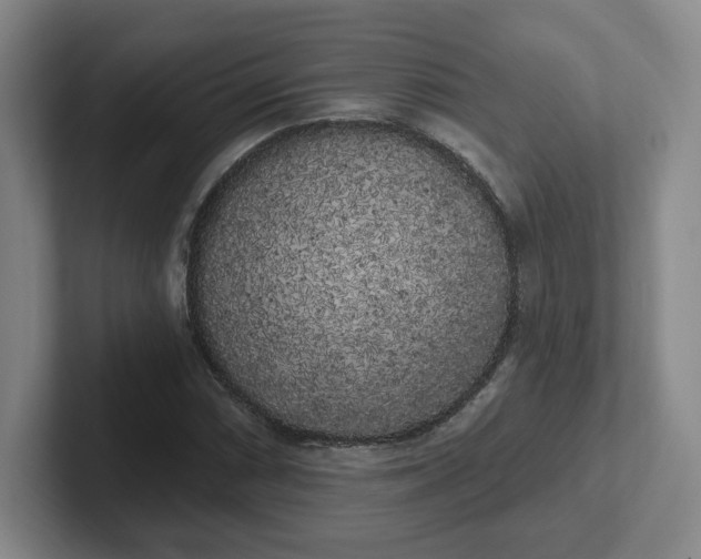 X0000102531066200808151550