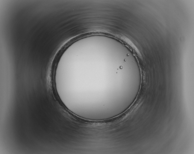 X0000102531068200808151550