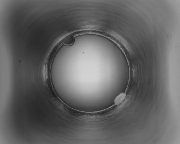 X0000102531069200808151550