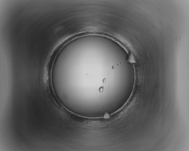 X0000102531070200808151550