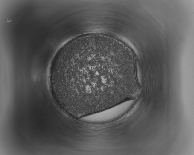 X0000102531071200808151550
