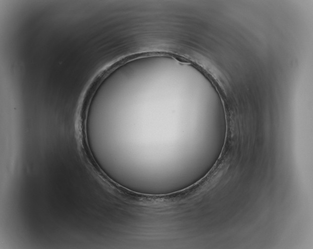 X0000102531072200808151550