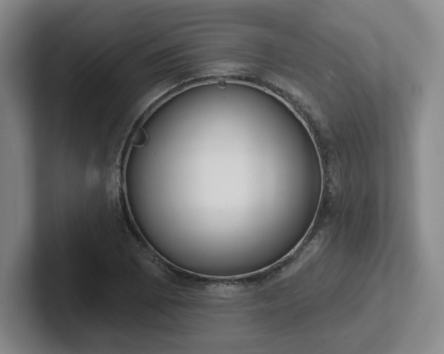 X0000102531073200808151550