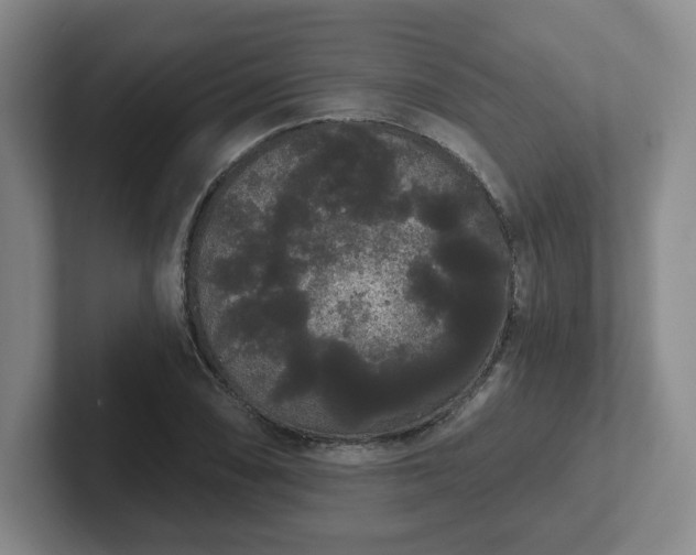 X0000102531074200808151550