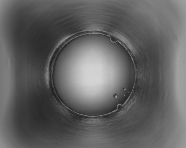 X0000102531076200808151550