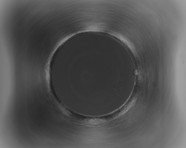 X0000102531077200808151550