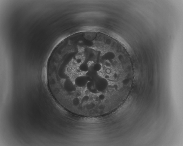 X0000102531079200808151550