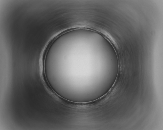 X0000102531080200808151550