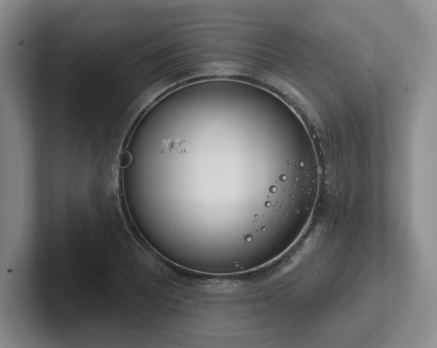 X0000102531081200808151550