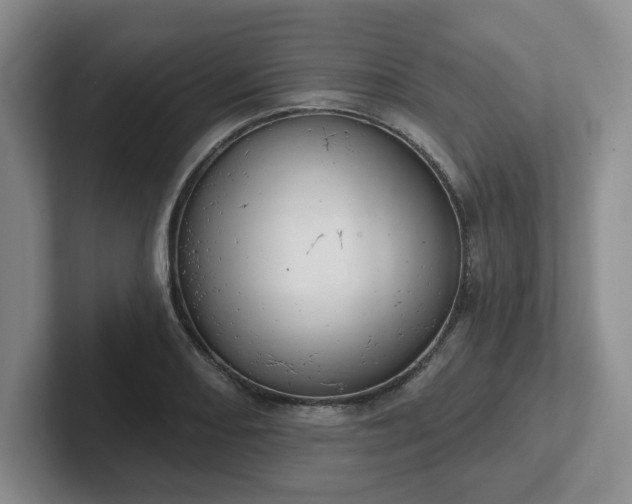 X0000102531082200808151550