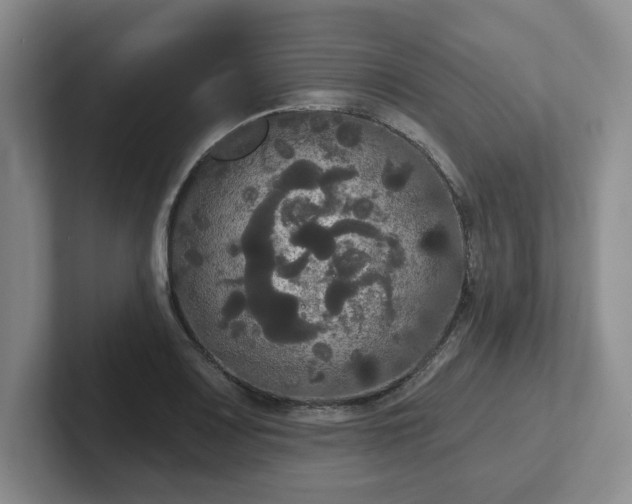 X0000102531083200808151550