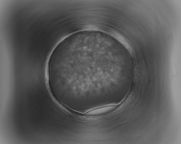 X0000102531084200808151550