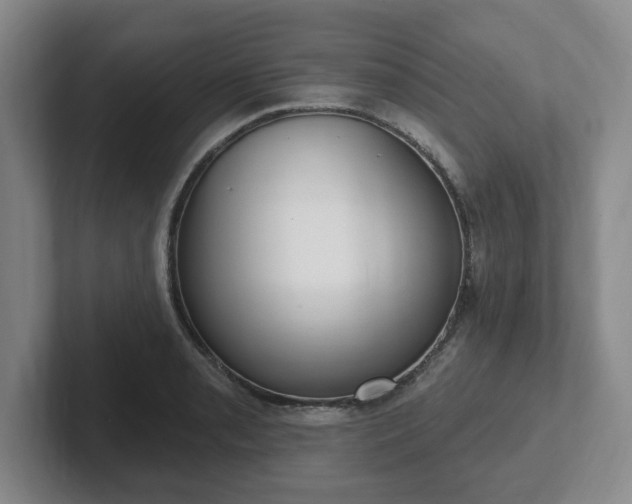 X0000102531085200808151550