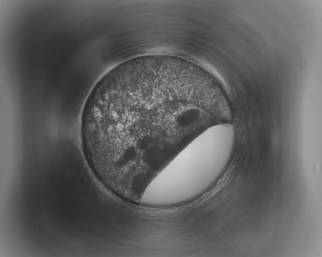 X0000102531087200808151550