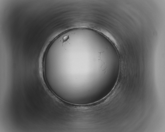 X0000102531088200808151550