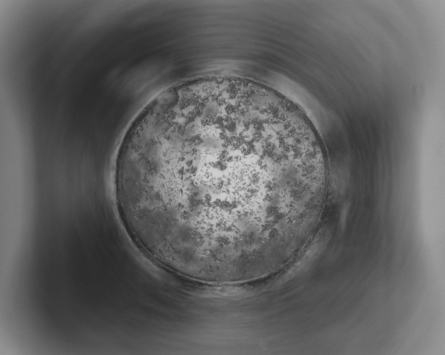 X0000102531090200808151550