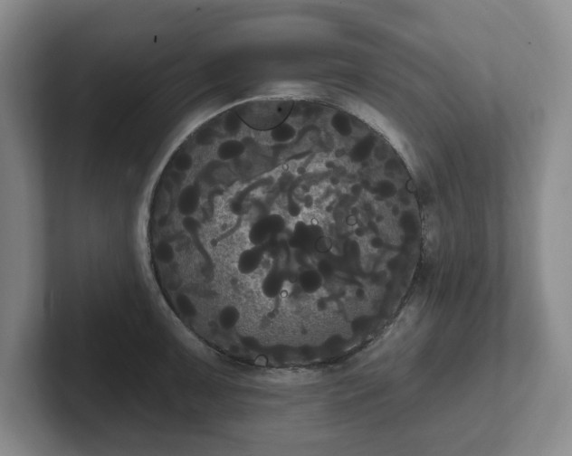 X0000102531091200808151550