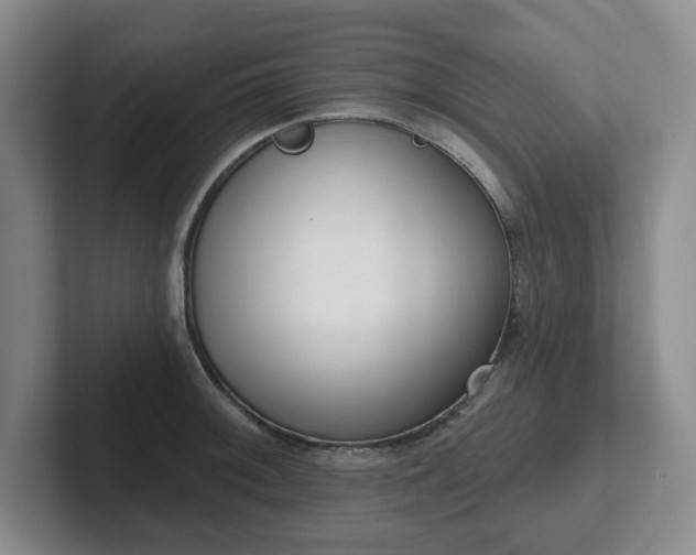 X0000102531092200808151550