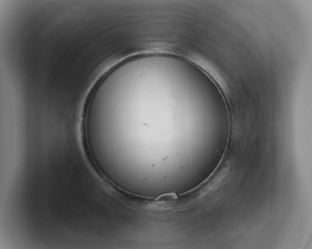 X0000102531093200808151550