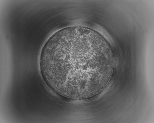 X0000102531094200808151550
