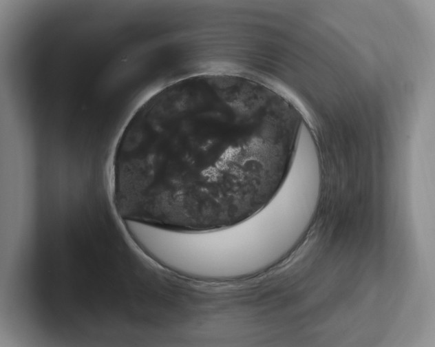 X0000102531095200808151550