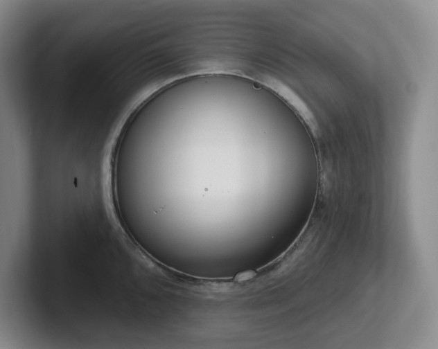 X0000102531096200808151550