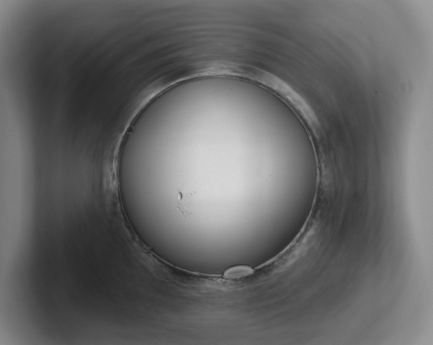 X0000102531097200808151550