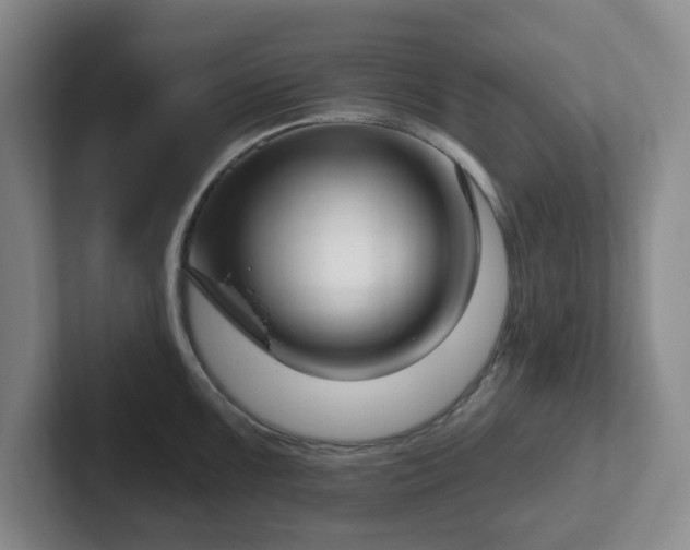 X0000102531099200808151550