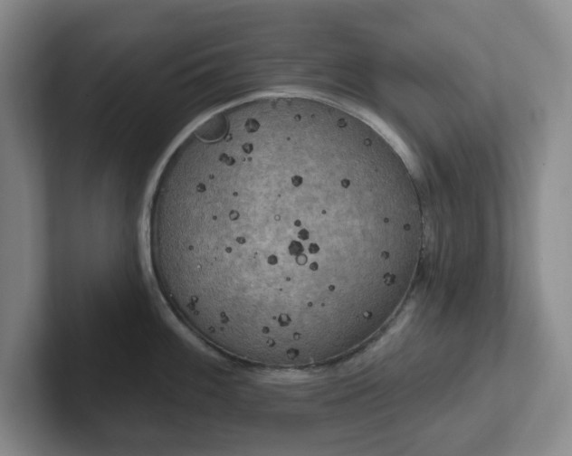 X0000102531100200808151550