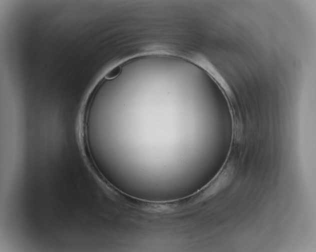 X0000102531101200808151550