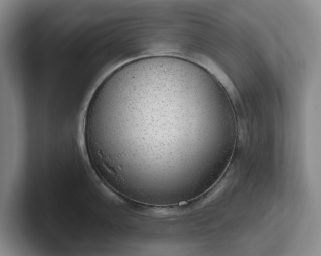 X0000102531102200808151550