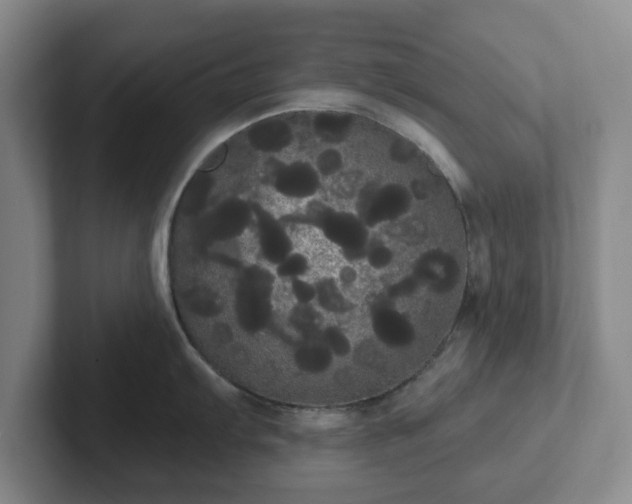 X0000102531103200808151550