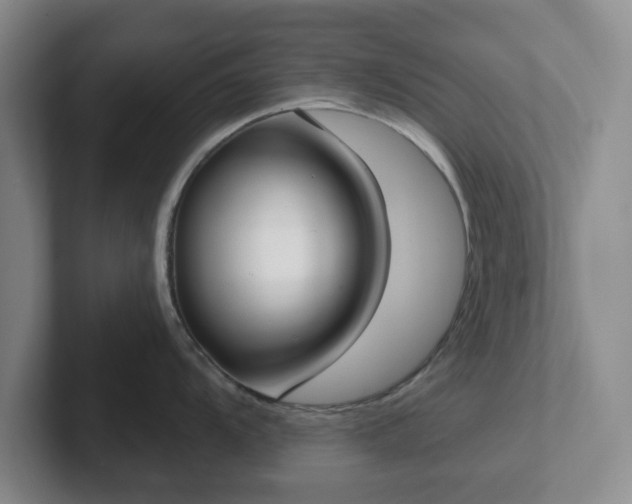 X0000102531104200808151550