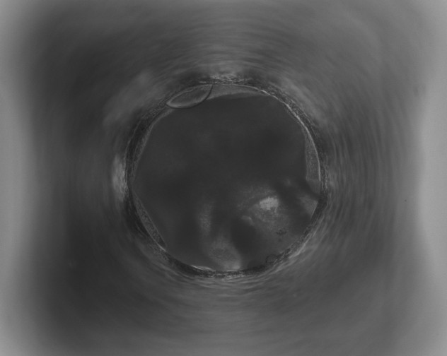 X0000102531106200808151549