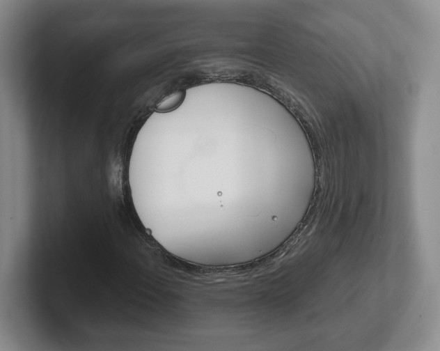 X0000102531108200808151549