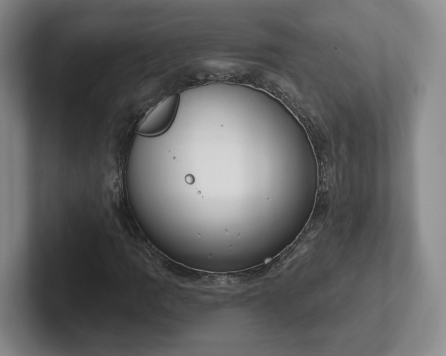 X0000102531109200808151549