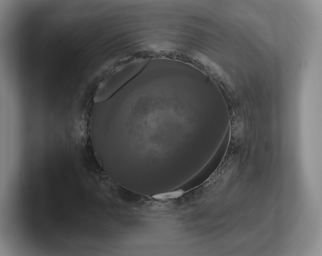 X0000102531110200808151549