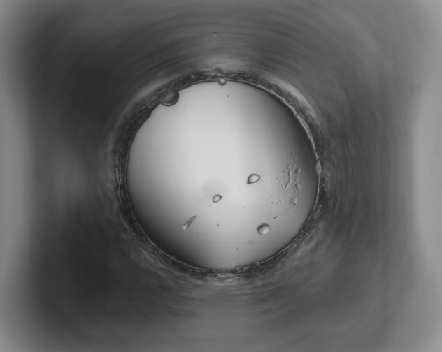 X0000102531112200808151549