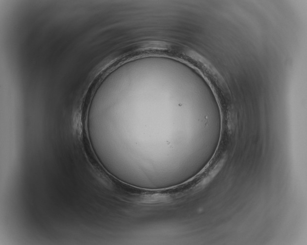 X0000102531113200808151549