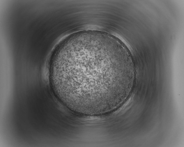 X0000102531115200808151549