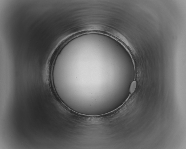 X0000102531116200808151549